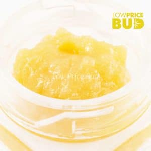 Live Resin – OG Octane Buy Live Resin – OG Octane online Canada