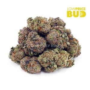Buy Purple Kush (AAAA) online Canada
