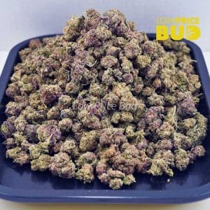 Fruit Loopz (AAAA) – Popcorn Nugs Buy Fruit Loopz (AAAA) – Popcorn Nugs online Canada