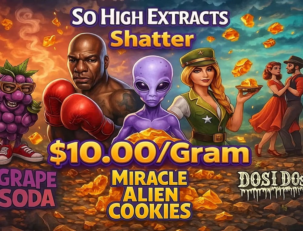 lpb so high shatter banner