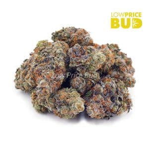 Unicorn Hunter (AAAA) Buy Unicorn Hunter (AAAA) online Canada