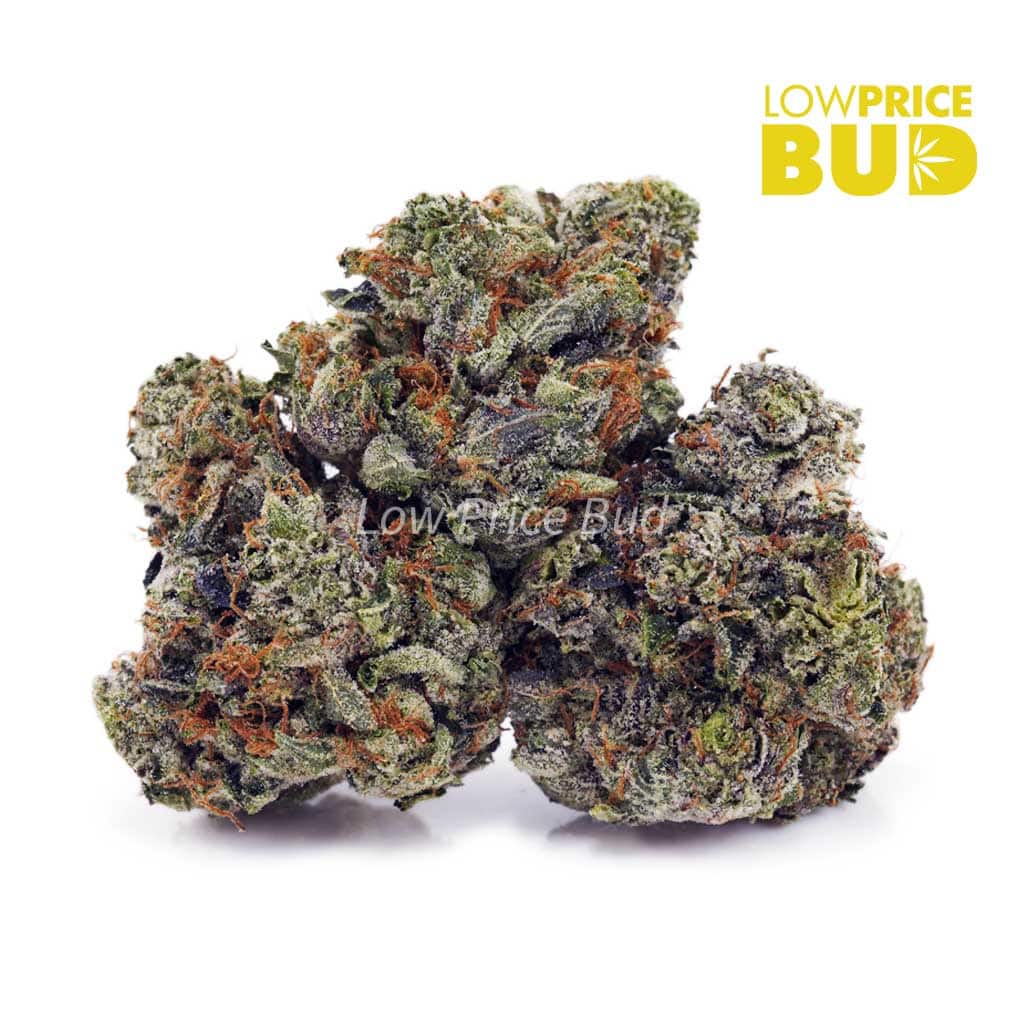 Couch Lock (Craft Cannabis) Buy Couch Lock (Craft Cannabis) online Canada