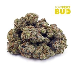 Couch Lock (Craft Cannabis) Buy Couch Lock (Craft Cannabis) online Canada