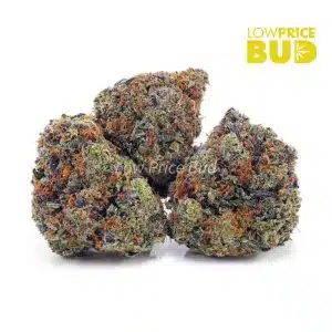 Buy El Jefe (AA) online Canada