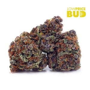 Cali Bubba (AAA) Buy Cali Bubba (AAA) online Canada