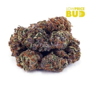 Cali Bubba (AAA) Buy Cali Bubba (AAA) online Canada