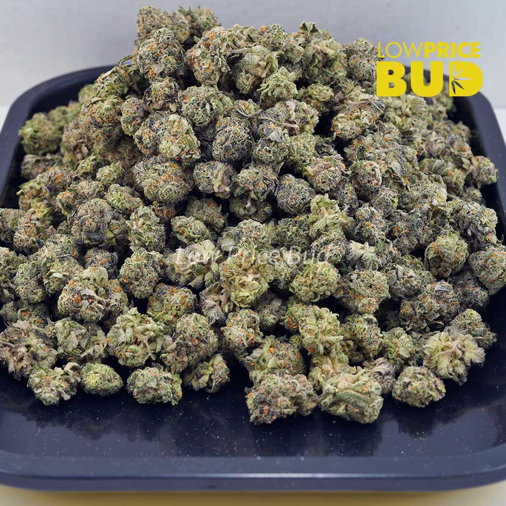 Crazy Glue (AAAA) – Popcorn Nugs Buy Crazy Glue (AAAA) – Popcorn Nugs online Canada