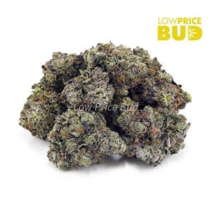 Pre-98 Bubba Kush (AAAA) Buy Pre-98 Bubba Kush (AAAA) online Canada