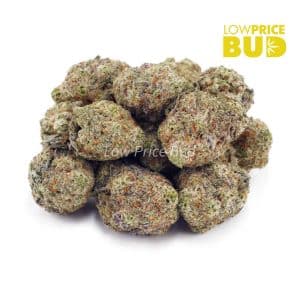 Astro Cookies (AA) Buy Astro Cookies (AA) online Canada