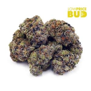 Black Widow (AAAA) Buy Black Widow (AAAA) online Canada