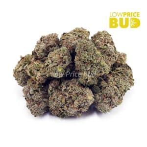Alien Rock Candy (AAA) Buy Alien Rock Candy (AAA) online Canada
