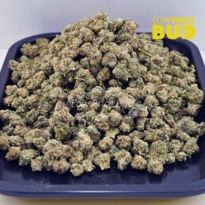 Pave Kush (AAAA) – Popcorn Nugs Buy Pave Kush (AAAA) – Popcorn Nugs online Canada