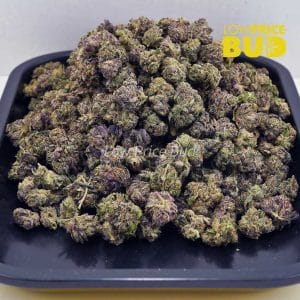 Buy Gelato Mintz (AAAA) – Popcorn Nugs online Canada