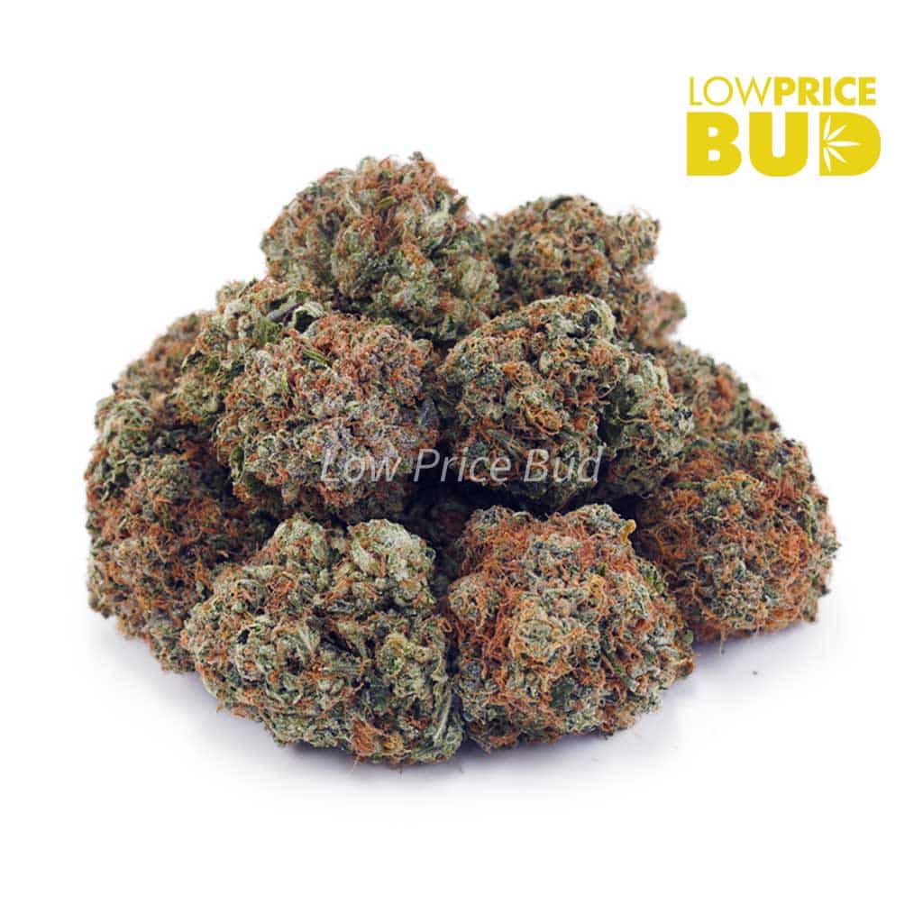 Tuna Kush (AA) Buy Tuna Kush (AA) online Canada