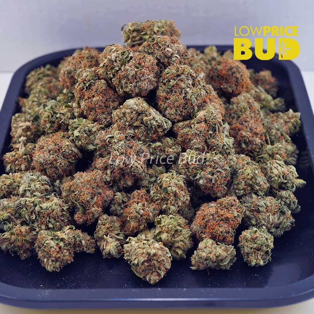 Tuna Kush (AA) Buy Tuna Kush (AA) online Canada
