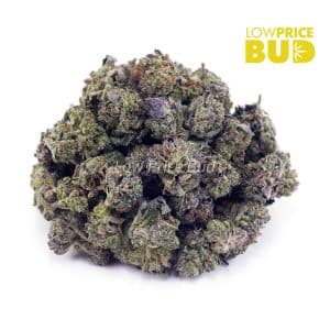 Platinum Pink (AAAA) – Popcorn Nugs Buy Platinum Pink (AAAA) – Popcorn Nugs online Canada