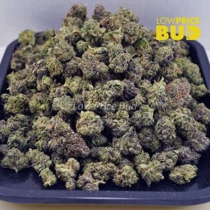 Platinum Pink (AAAA) – Popcorn Nugs Buy Platinum Pink (AAAA) – Popcorn Nugs online Canada
