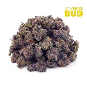 Buy Blueberry Bomb (AAAA) – Popcorn Nugs online Canada