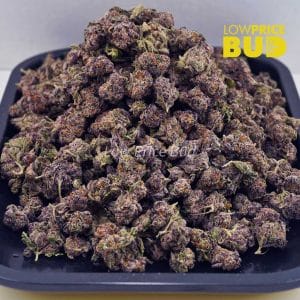 Blueberry Bomb (AAAA) – Popcorn Nugs Buy Blueberry Bomb (AAAA) – Popcorn Nugs online Canada