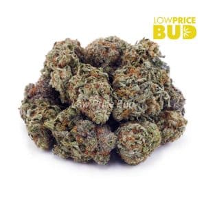 Buy Island Sweet Skunk (AA) online Canada