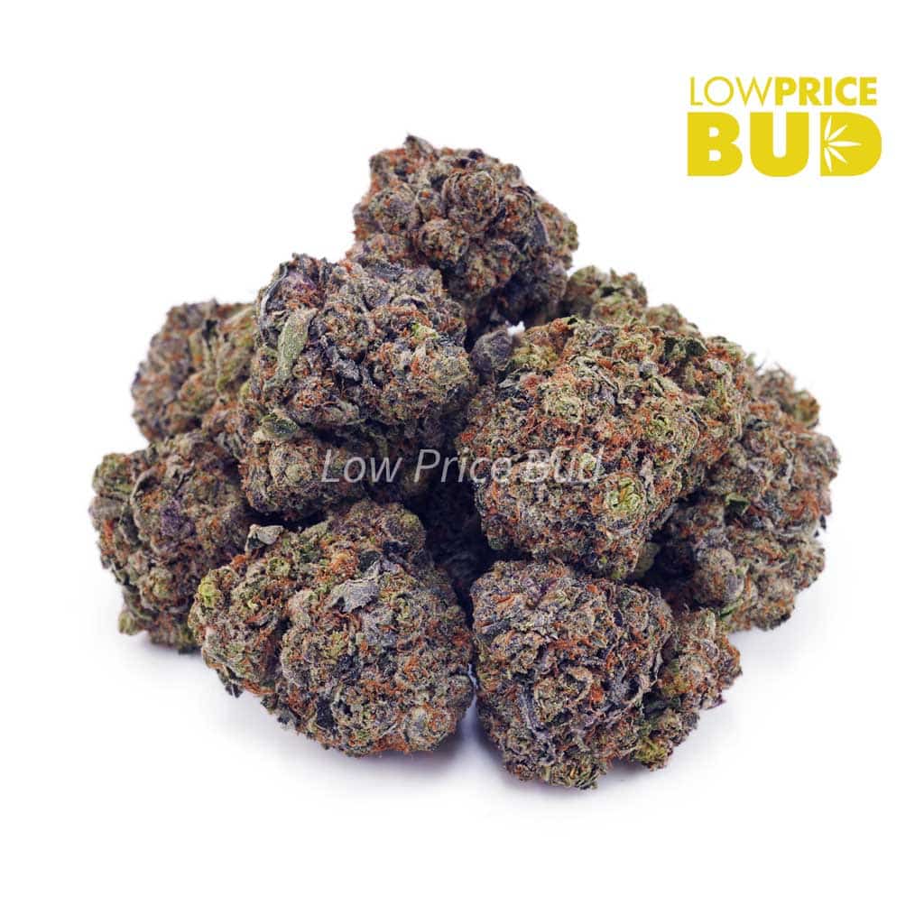 Supreme Gas Mask (Craft Cannabis) Buy Supreme Gas Mask (Craft Cannabis) online Canada