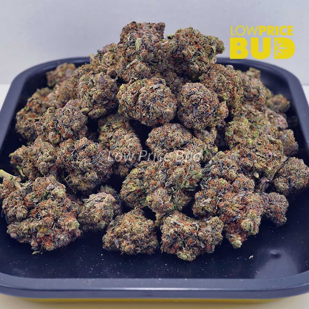 Supreme Gas Mask (Craft Cannabis) Buy Supreme Gas Mask (Craft Cannabis) online Canada