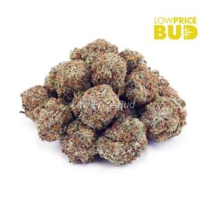 Wedding Cake (AAA) Buy Wedding Cake (AAA) online Canada