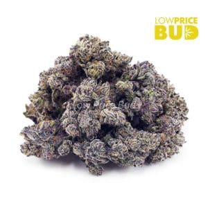 Buy Vanilla Ice (Craft Cannabis) online Canada