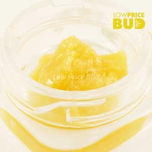 Buy Caviar – Atomic Pink online Canada