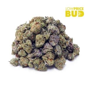 Buy Build Your Own (AAAA) Popcorn Pound 4 x 112g online Canada