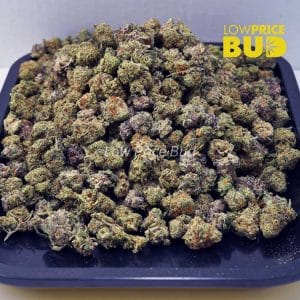 Buy Crazy Glue (AAAA) – Popcorn Nugs online Canada