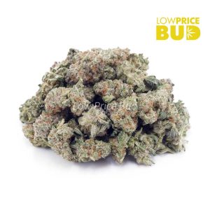 Guava Bomb (AAAA) – Popcorn Nugs Buy Guava Bomb (AAAA) – Popcorn Nugs online Canada