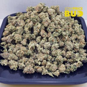 Guava Bomb (AAAA) – Popcorn Nugs Buy Guava Bomb (AAAA) – Popcorn Nugs online Canada