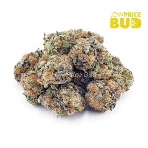 Buy Super Silver Haze (AA) online Canada