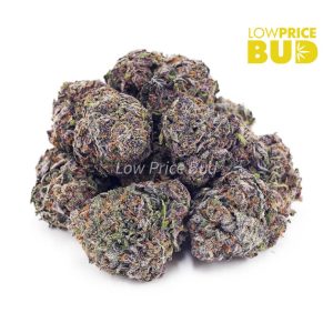 Pink Rockstar (AAAA) Buy Pink Rockstar (AAAA) online Canada