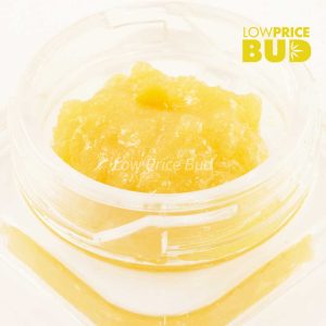 Live Resin – Hindu Kush Buy Live Resin – Hindu Kush online Canada