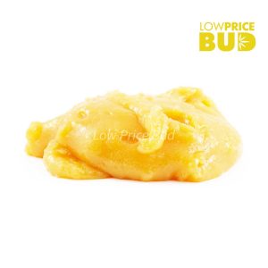 Buy Caviar – Gas Mask online Canada