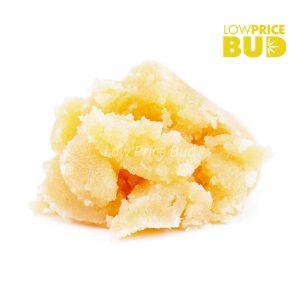 Buy Caviar – Island Pink Kush online Canada