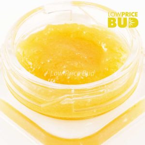 Caviar – Holy Grail Buy Caviar – Holy Grail online Canada