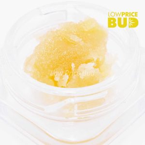 Buy Caviar – Island Pink Kush online Canada
