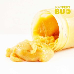 Buy Caviar – Gas Mask online Canada
