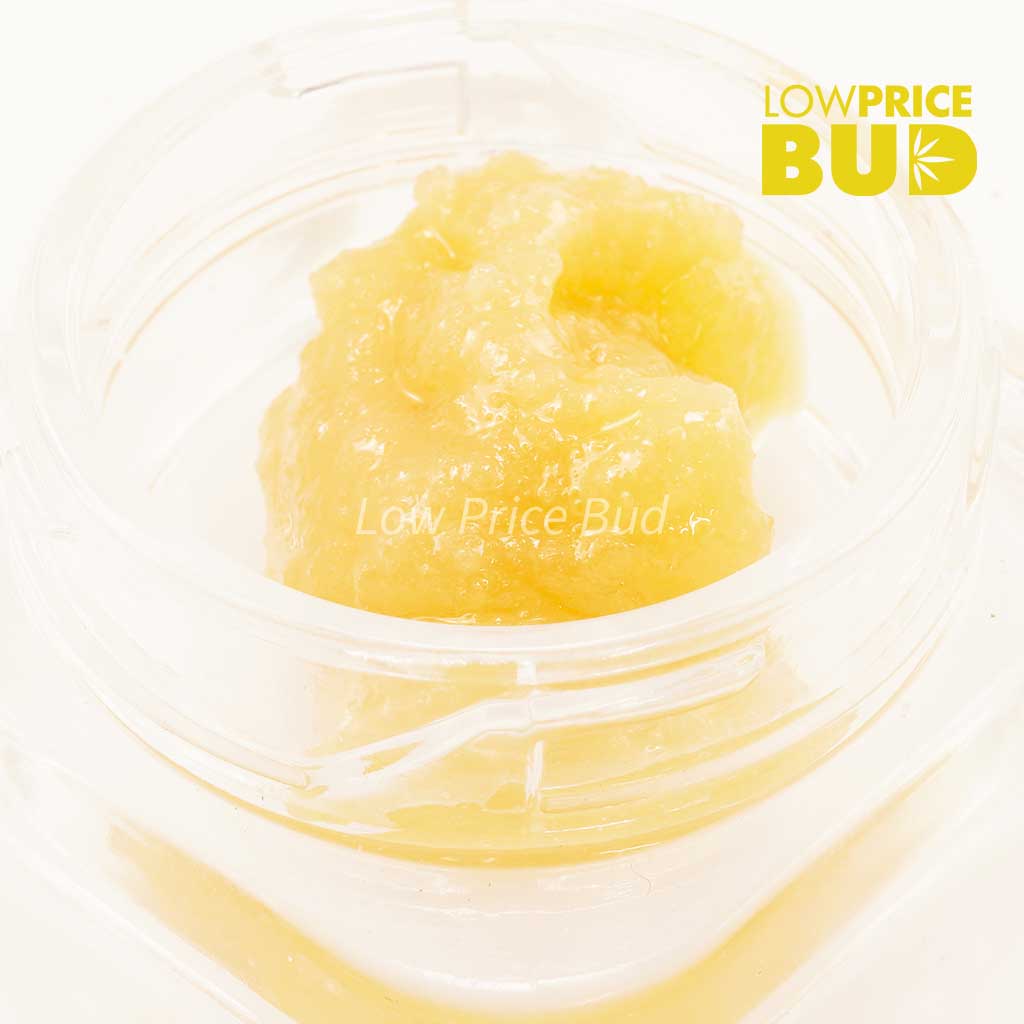 Caviar – Skywalker OG Buy Caviar – Skywalker OG online Canada