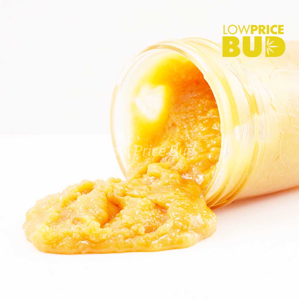 Caviar – Skywalker OG Buy Caviar – Skywalker OG online Canada