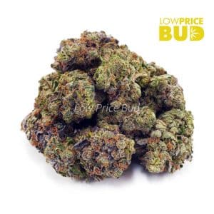 Master Kush Ultra (AAAA) Buy Master Kush Ultra (AAAA) online Canada