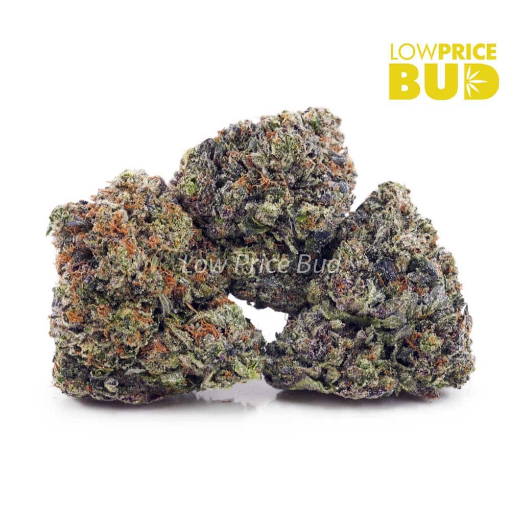 Couch Lock (Craft Cannabis) Buy Couch Lock (Craft Cannabis) online Canada