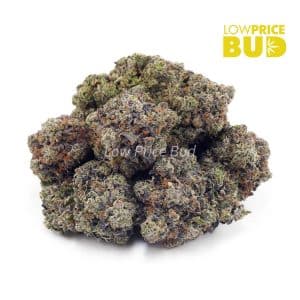 Couch Lock (Craft Cannabis) Buy Couch Lock (Craft Cannabis) online Canada