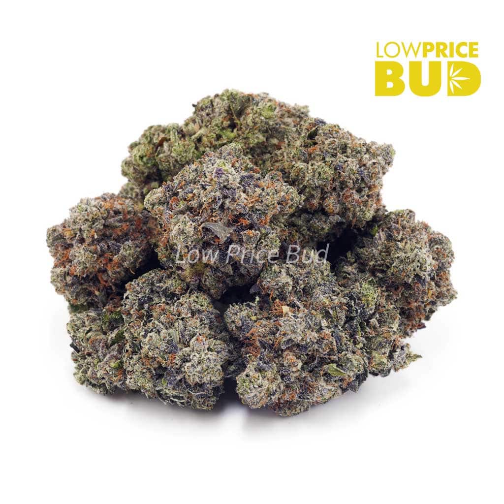 Couch Lock (Craft Cannabis) Buy Couch Lock (Craft Cannabis) online Canada