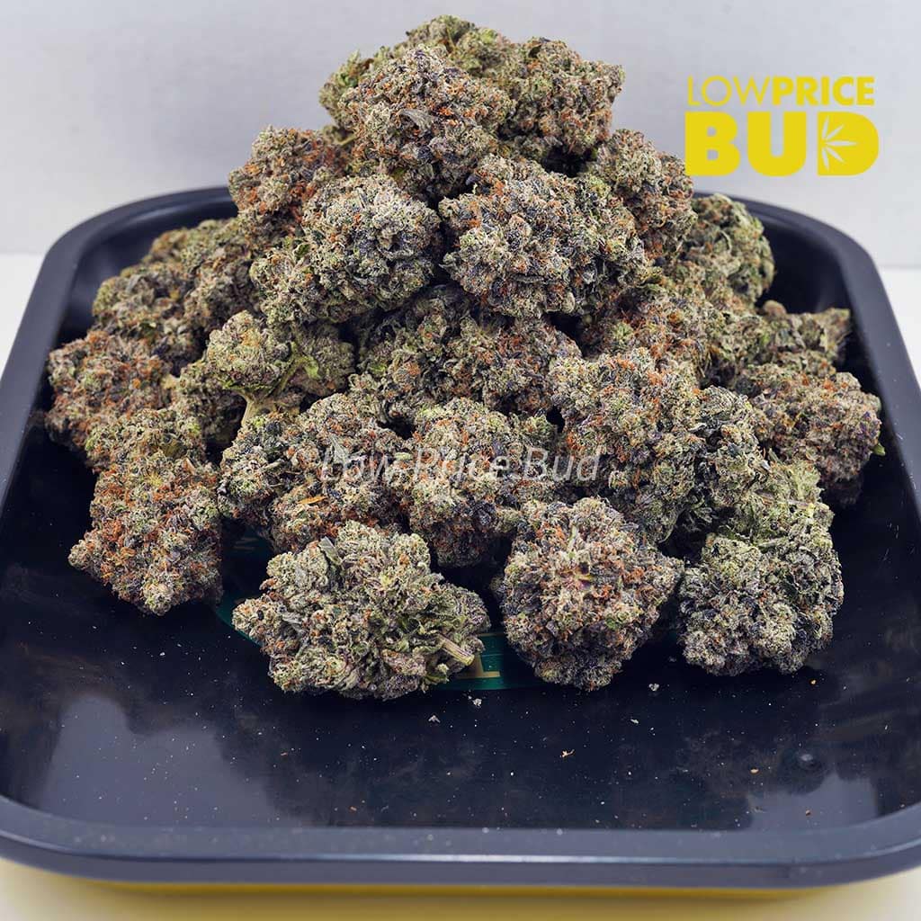 Couch Lock (Craft Cannabis) Buy Couch Lock (Craft Cannabis) online Canada