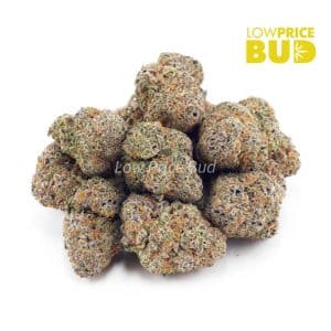 Apple Fritter (Craft Cannabis) Buy Apple Fritter (Craft Cannabis) online Canada