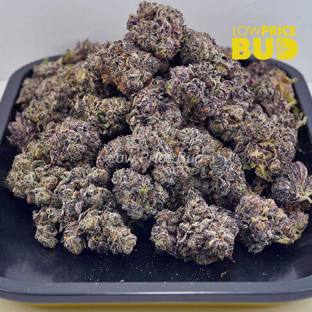 Black Widow (AAAA) Buy Black Widow (AAAA) online Canada
